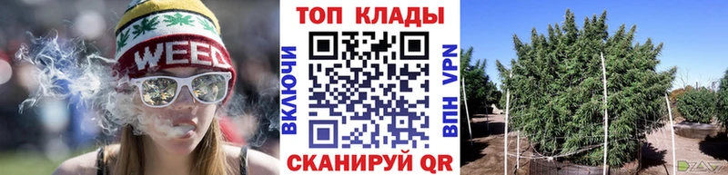 Купить закладку А ПВП  Канабис  Галлюциногенные грибы  ГАШИШ  Меф мяу мяу  Болхов