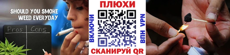 Купить где  Болхов  Гашиш Premium 