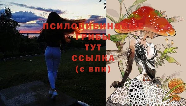 мефедрон мука Нязепетровск
