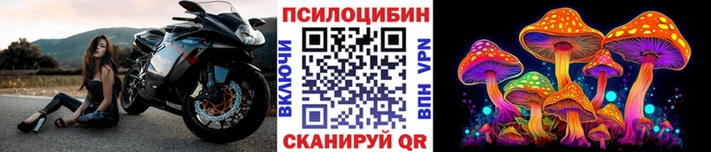 Псилоцибиновые грибы прущие грибы  Купить где  Болхов 